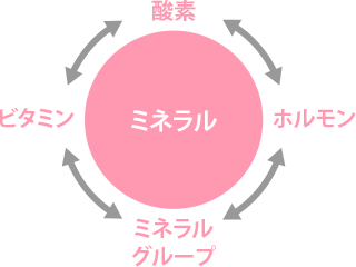 体内のミネラルの働き