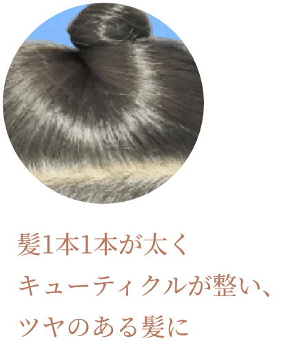 髪1本1本が太くキューティクルが整い、ツヤのある髪に