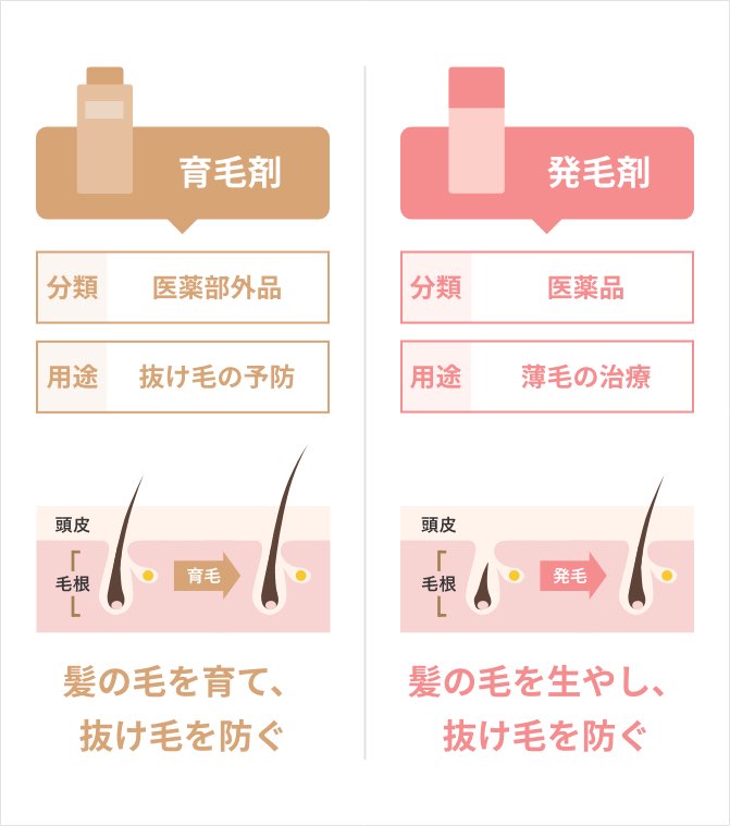 育毛剤 分類:医薬部外品 用途:抜け毛の予防 髪の毛を育て。抜け毛を防ぐ 発毛剤 分類:医薬部外品 用途:抜け毛の予防